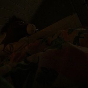 Meet your Posher, Harper